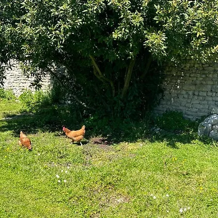 Les Logis De Simon